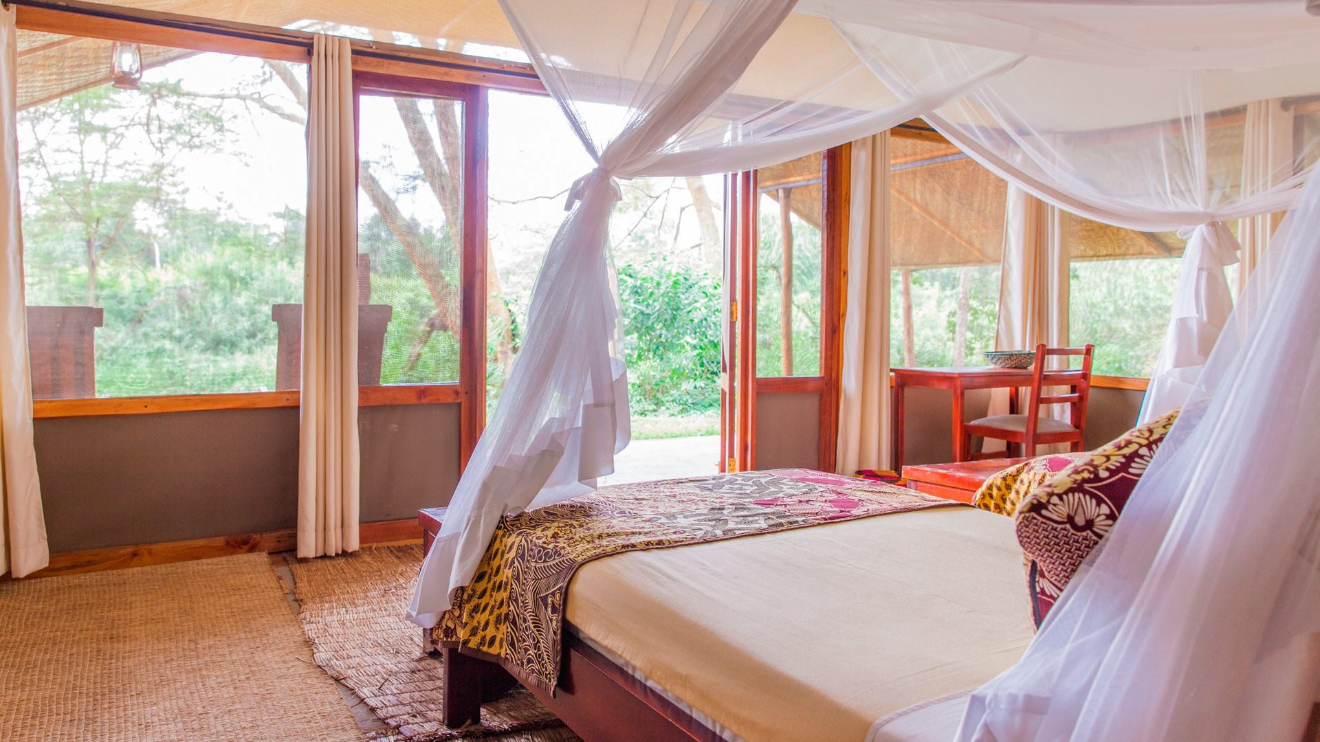 Ishasha Wilderness Camp