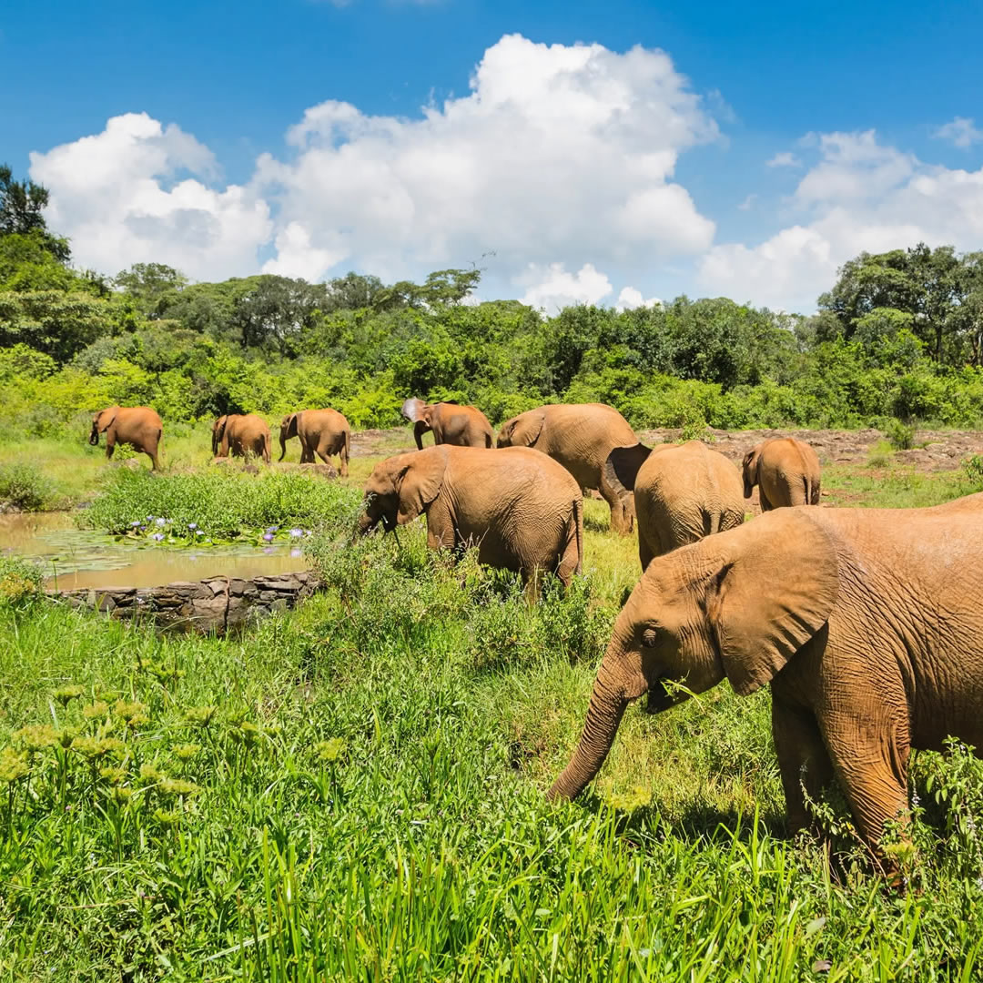Samburu National Reserve