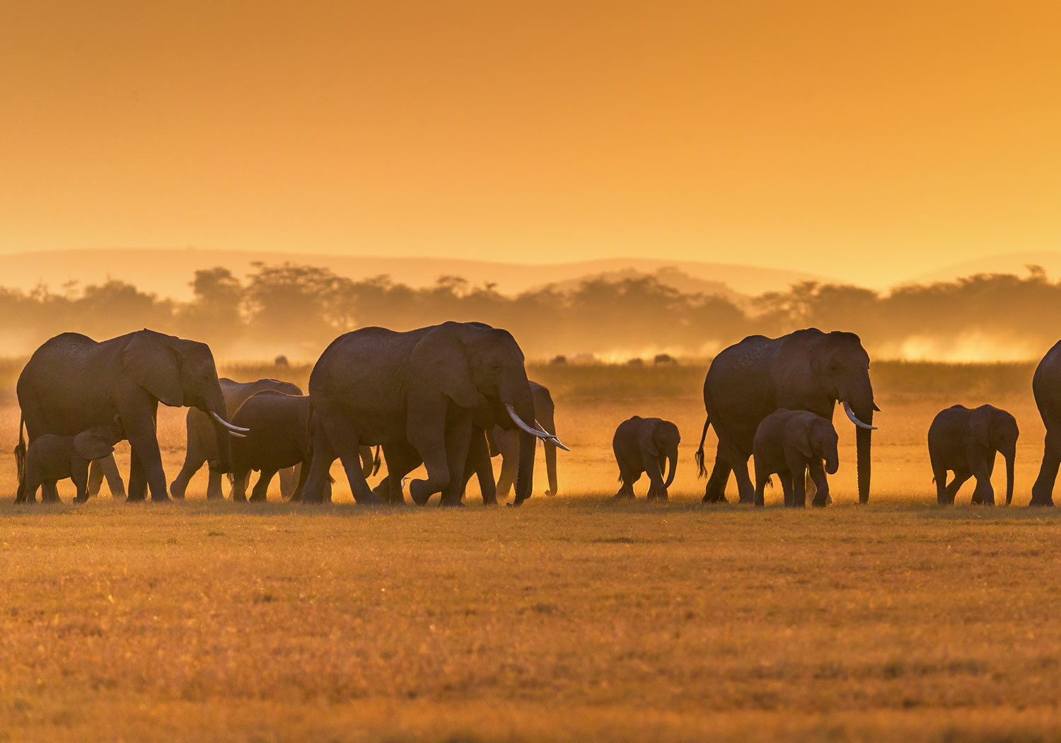 10 Days Incredible Kenya Safari